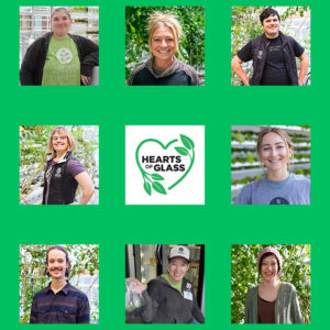 Eight square photos and the Hearts of Glass film logo arranged on a green background in three rows. Vertical Harvest employees pose in the greenhouse. The film logo is in the center square.